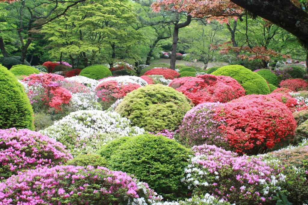 ホテル 箱根小涌園 美山楓林 エクステリア 写真