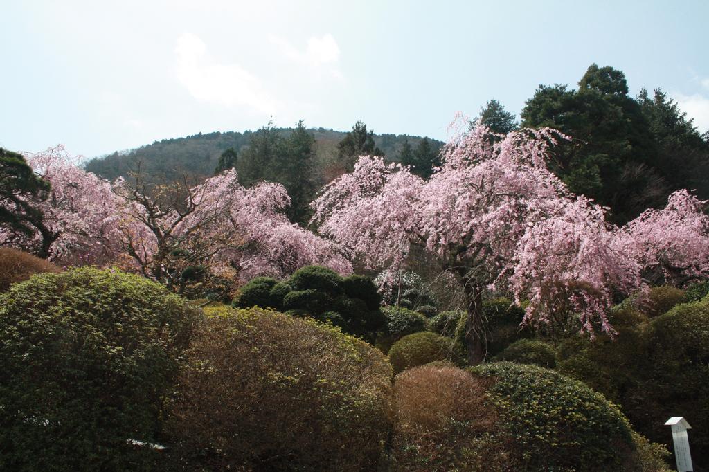 ホテル 箱根小涌園 美山楓林 エクステリア 写真
