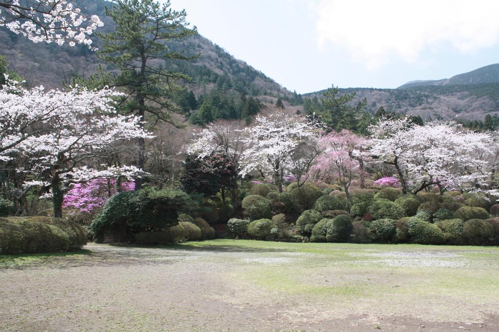 ホテル 箱根小涌園 美山楓林 エクステリア 写真
